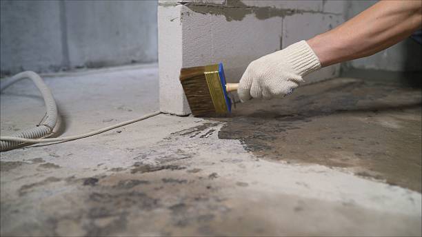 Top rated local Crawl Space Encapsulation specialists in Marion, VA